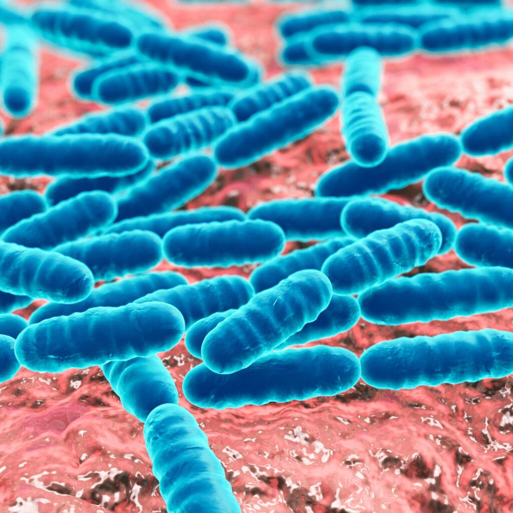 A close-up of yogurt showing the beneficial types of bacteria it contains.