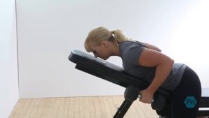 A fitness expert demonstrates the Chest Supported Dumbbell Row. She is leaning forward on an inclined bench, back straight, knees slightly bent. Each hand firmly grasps a dumbbell, elbows bent at a 90-degree angle. This position optimizes the engagement of the latissimus dorsi and rhomboids in the back, crucial for strength and posture.