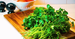 A vibrant bunch of freshly cut cilantro rests on a rustic wooden cutting board, set atop a clean white table.