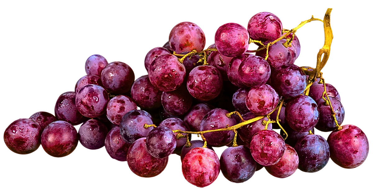 An up-close image capturing luscious grapes attached to a bunch, glistening with moisture, against a pristine white backdrop, highlighting their natural freshness and vibrant appeal.